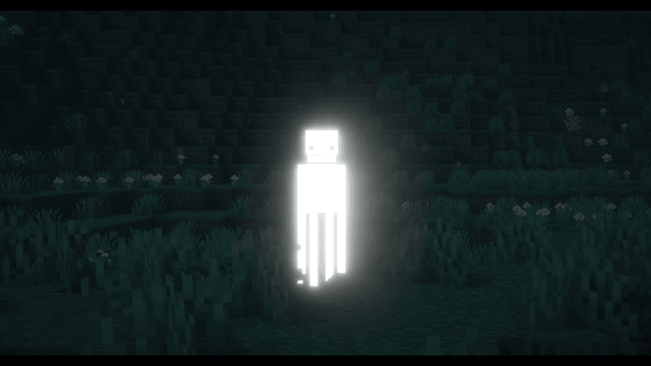 The White Enderman